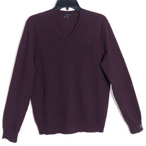 Theory Men Sater V Cashmere Sweater Deep Eggplant V-Neck Long Sleeve Size M